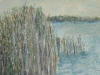 Nádas szélén